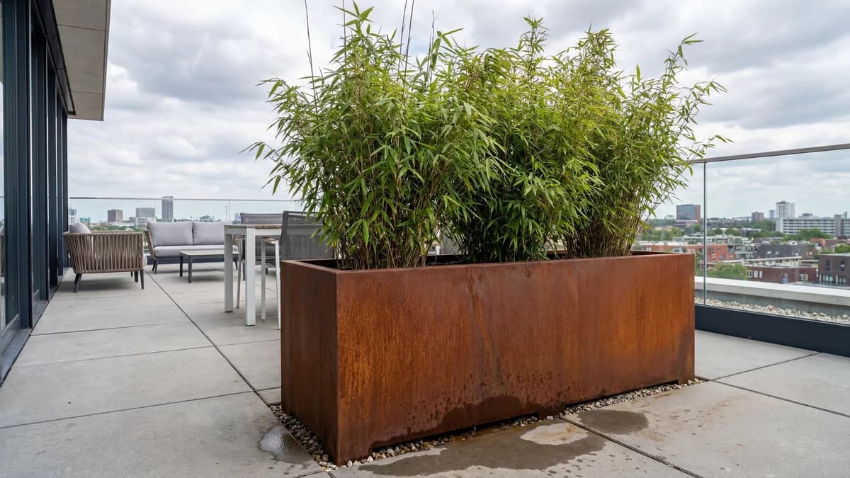 Dimension jardinière pour bambou : guide fabricant 2026