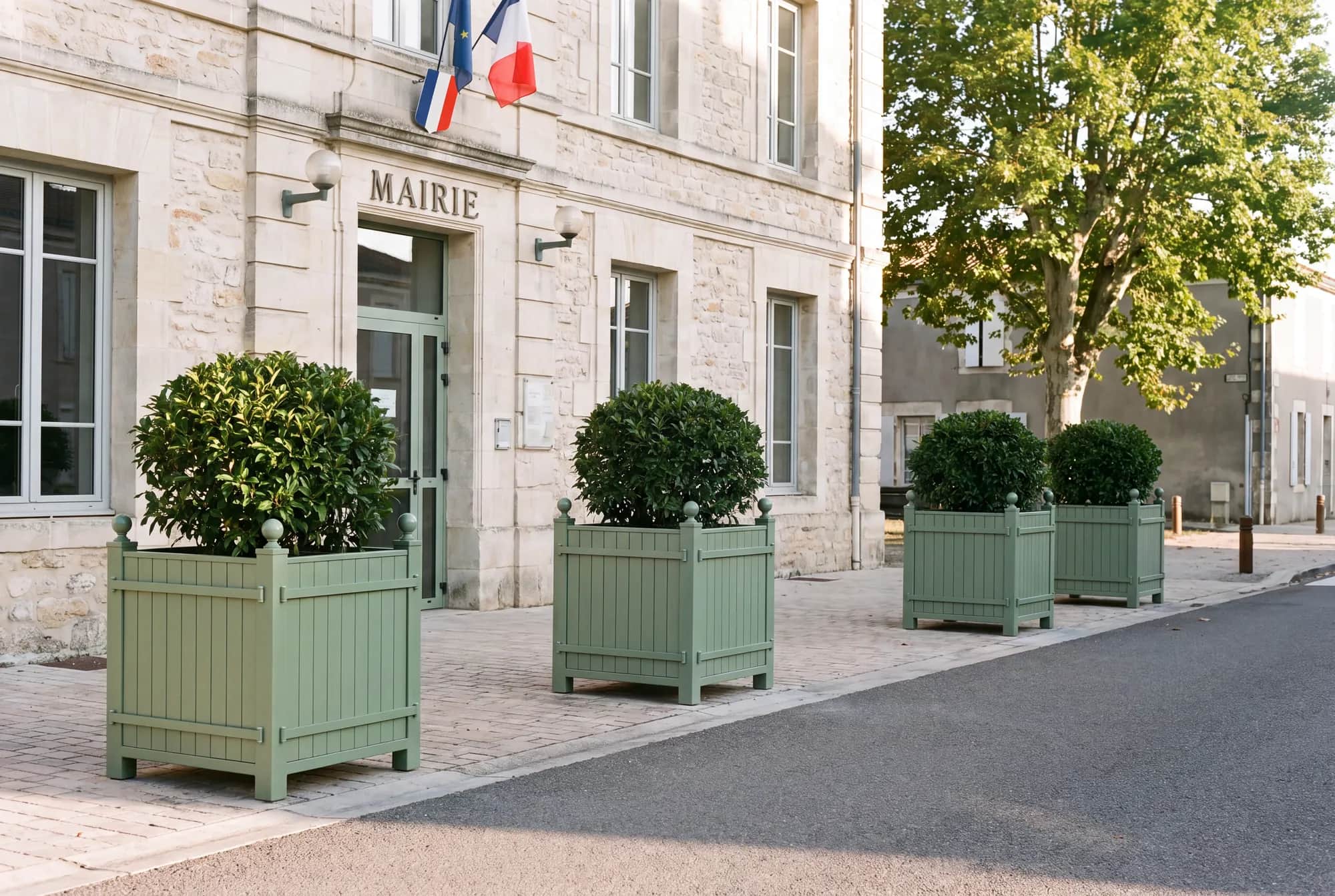 Quatre bacs à oranger verts alignés devant la façade d'une mairie