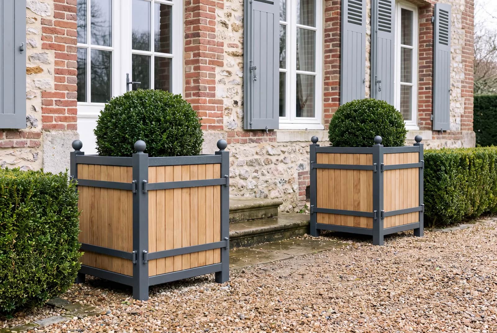 Paire de bacs à oranger gris et chêne lasuré avec buis boule devant un perron de maison de maître