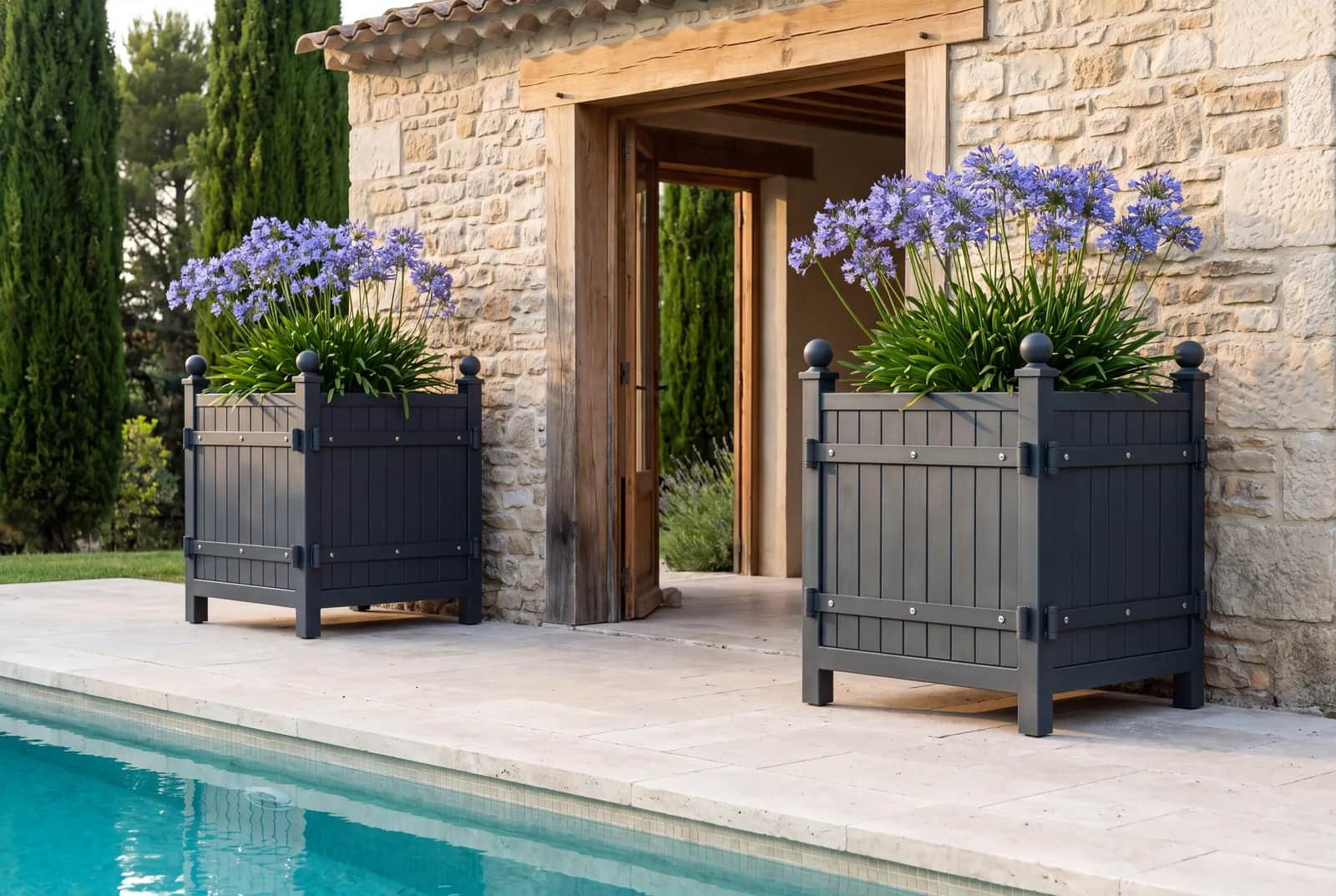 Deux bacs à oranger gris avec agapanthes de part et d'autre d'un pool house en Provence