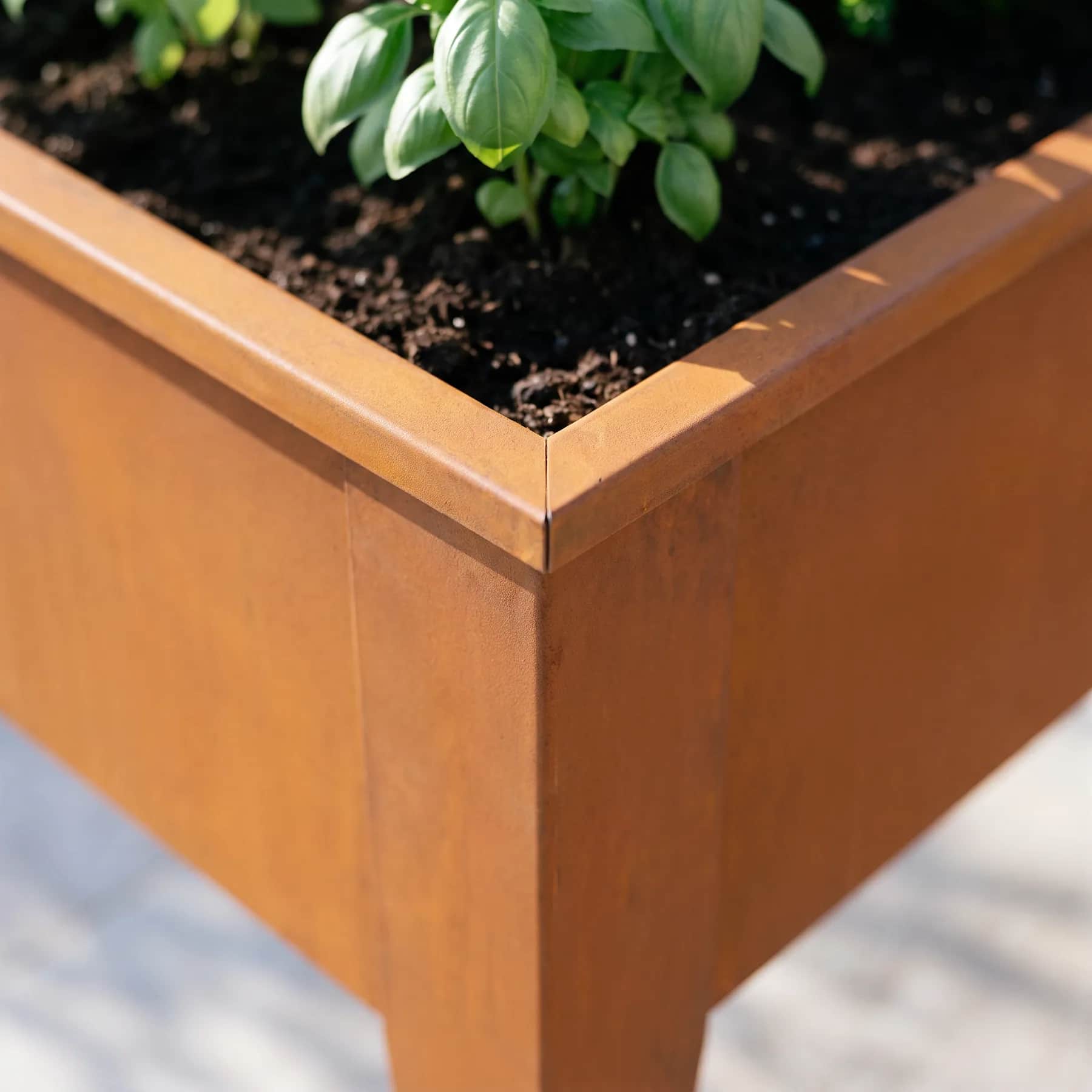 Détail de l'angle plié et du pied d'un carré potager en acier corten