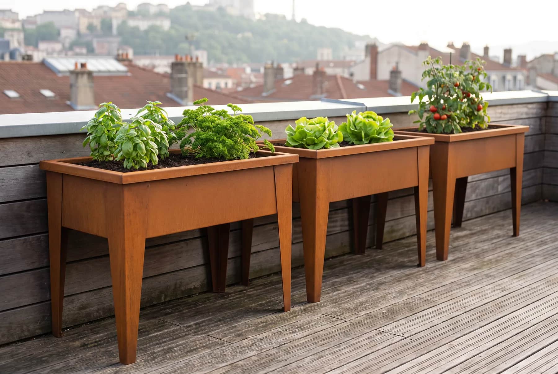 Carrés potagers sur pieds en acier corten alignés le long du parapet d'un jardin partagé sur un toit