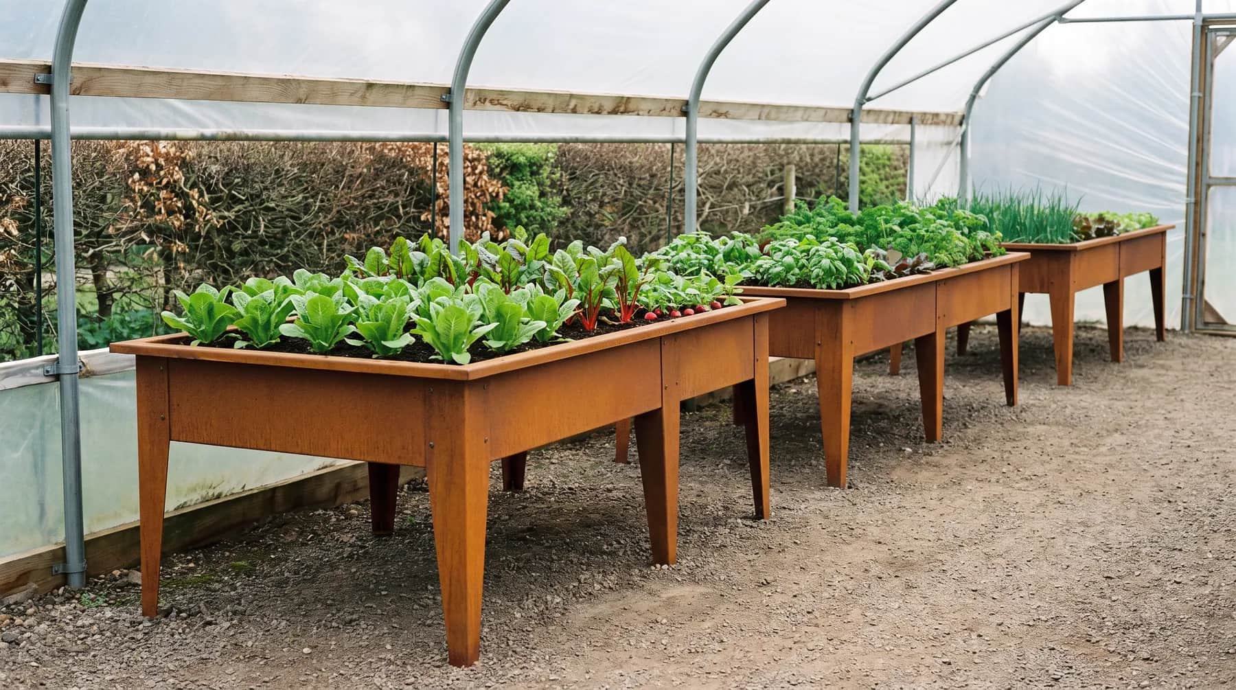 Tables de culture en acier corten 200 × 100 cm alignées à l'entrée d'un tunnel de pépinière