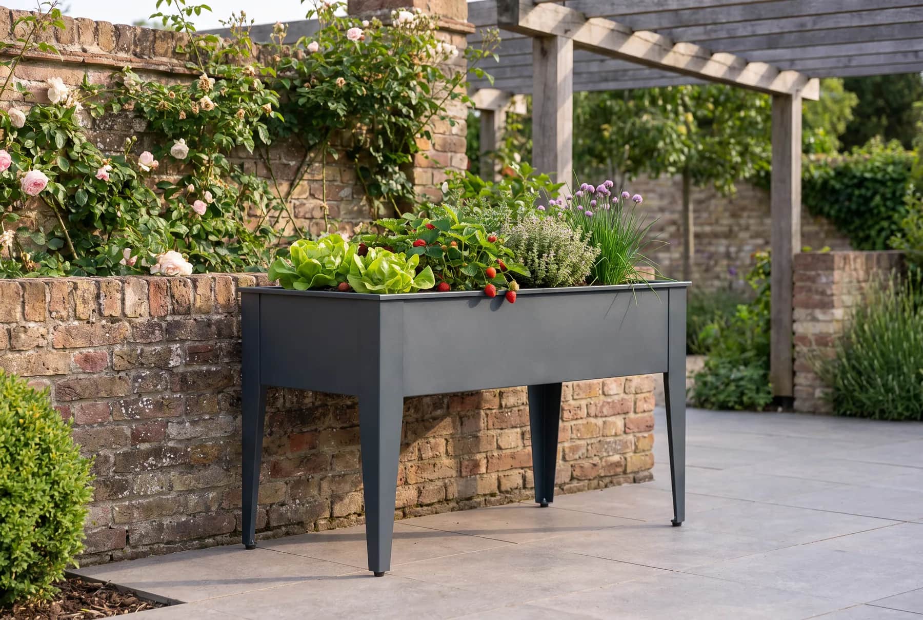 Table de culture en acier gris anthracite 120 × 80 cm plantée de salades et de fraisiers contre un muret de brique